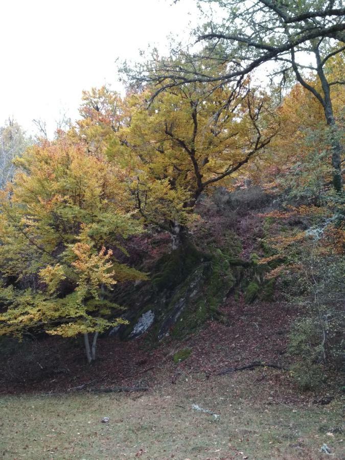 Вілла La Casa Emboscada Horcajo de la Sierra Екстер'єр фото